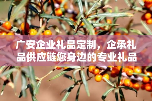 广安企业礼品定制，企承礼品供应链您身边的专业礼品定制公司