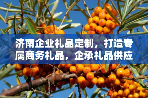 济南企业礼品定制，打造专属商务礼品，企承礼品供应链助力您的选择
